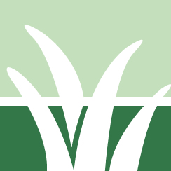 Yard Spraying Service Pros